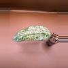 plant/Hoya Silver Latifolia Indo-2-thumbnail