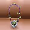 plant/Hoya Amber of Borneo-0-thumbnail