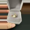 plant/Stainless steel ring accessory-0-thumbnail