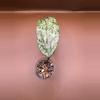 plant/Hoya Silver Latifolia Indo-1-thumbnail