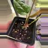 plant/(Forgetii x Red Crystal Premium) x NSE Ace of Spades-1-thumbnail