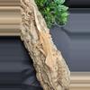 plant/105 PINK Phantom with ports n partial pin.-3-thumbnail