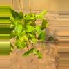 plant/Pothos Neon Marble-2-thumbnail