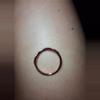 plant/3 rings-1-thumbnail