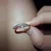 plant/3 rings-2-thumbnail