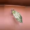 plant/Hoya Silver Latifolia Indo-0-thumbnail