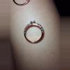 plant/3 rings-3-thumbnail