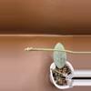 plant/Lai Chau Silver Rooted Cutting-5-thumbnail