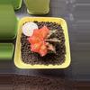 plant/BRIGHT Colored Gymnocalycium Mihahnovichii-0-thumbnail