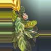 plant/Calathea - The Mean Girls-3-thumbnail