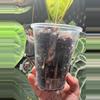plant/ANTHURIUM NOID-3-thumbnail