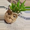 plant/Gollum Jade (Crassula Ovata) Succulent in Owl Pot-0-thumbnail