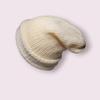plant/Cream Beanie-2-thumbnail