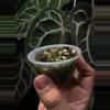 plant/Venom momma AND sprouting corm!-4-thumbnail