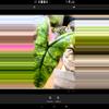 plant/Corm shattered glass alacasia-0-thumbnail
