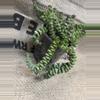plant/Crassula Rupestris (Baby Necklace) Succulent-2-thumbnail