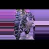plant/Alocasia Psuedo Pink - CORM #4-1-thumbnail