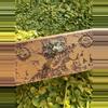 plant/Pyrography Box-2-thumbnail
