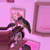 plant/Alocasia Pink Amazonica - STUNNING 😍-6-thumbnail