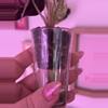 plant/Alocasia Pink Amazonica - STUNNING 😍-4-thumbnail