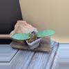plant/Hoya sp. Lai Chau Silver-0-thumbnail