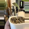 plant/Alocasia Polly Offshoot #20-2-thumbnail