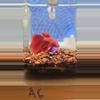 heat_pack/A6 betta-0-thumbnail