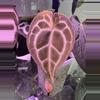 plant/(Tim’s Black x Villenaorum) x self-4-thumbnail