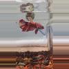 insulation/A11 betta-0-thumbnail
