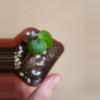 plant/Anthurium noid 1280-2-thumbnail