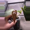 plant/Ree Port x Windy Dress-3-thumbnail