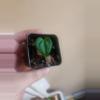 plant/Anthurium noid 1363-0-thumbnail