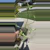 plant/Devil's backbone-1-thumbnail