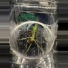 plant/Variegated Frydek sprouted corm(10)-0-thumbnail