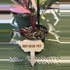 plant/Funny-plant stakes (5)-1-thumbnail