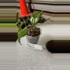 plant/Verticillata tangamus-0-thumbnail