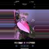 plant/Philodendron White Princess / Pink Tri-Color Hybrid-1-thumbnail