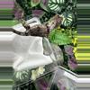 plant/Nice White Collar Chahoua Shyguy x Raheana 5/30/25-2-thumbnail
