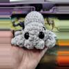 plant/Grey Confetti Spider-0-thumbnail