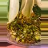 plant/2 mayari scindapus well rooted in one cup-5-thumbnail