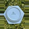 plant/Mottahedeh Hexagon 5” Plates-1-thumbnail