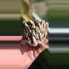 plant/Handmade ceramic pot with drainage-0-thumbnail