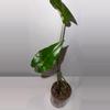 plant/4” Alocasia Metalhead-0-thumbnail