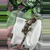 plant/Nice White Collar Chahoua Shyguy x Raheana 5/30/25-0-thumbnail