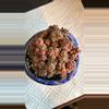 plant/Personal Collection with Tim Preston Pot-0-thumbnail
