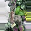 plant/Gargoyle - Brogan x Aurora 5/17/25-0-thumbnail
