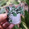 plant/Perals n Jade Vinyl Sticker-0-thumbnail