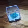 plant/Malachite and tourmaline specimens-0-thumbnail
