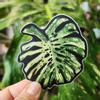 plant/Thai Constellation Monstera Vinyl Sticker-0-thumbnail