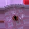 plant/Alocasia Yucatan Princess pink CORM-1-thumbnail